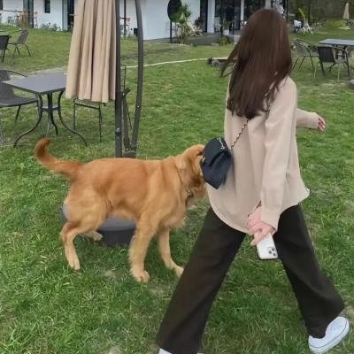公主成人礼
